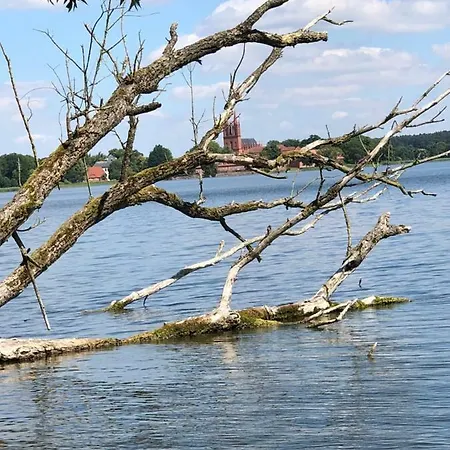 Am Dobbertiner